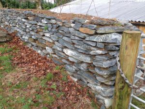 Dry stone wall imitation of a Devon Bank